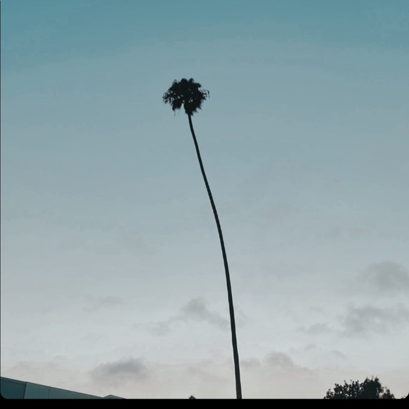 Meet your Posher, Danée - Picture 1 of 1